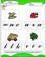 Resmin Başladığı Sesi Bul